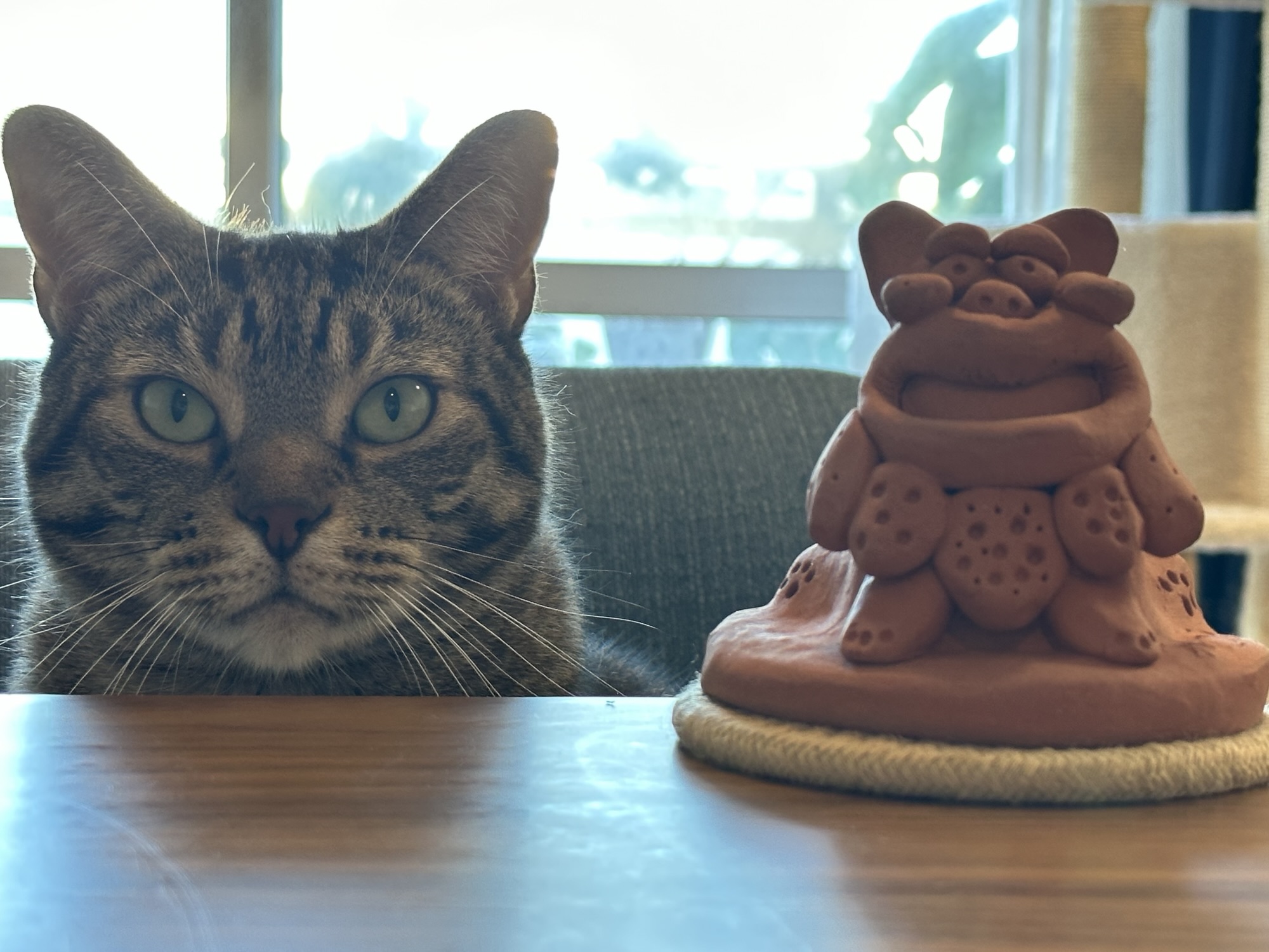 Momo and Shisa